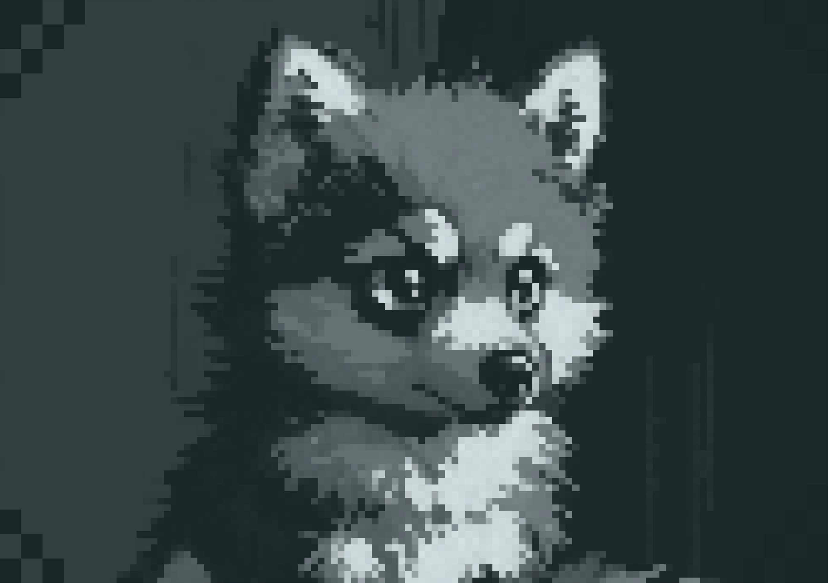 Puppy