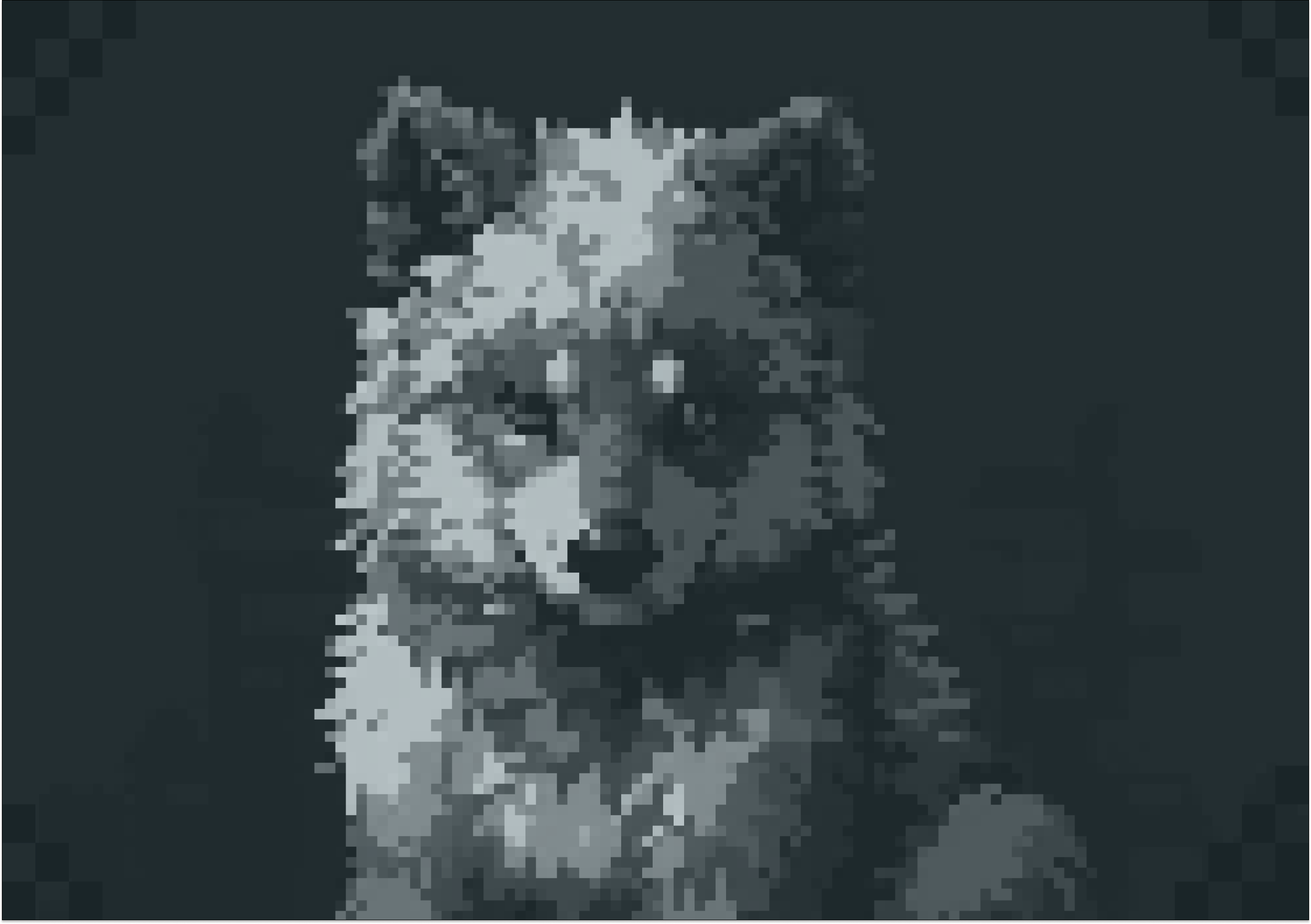 Warg