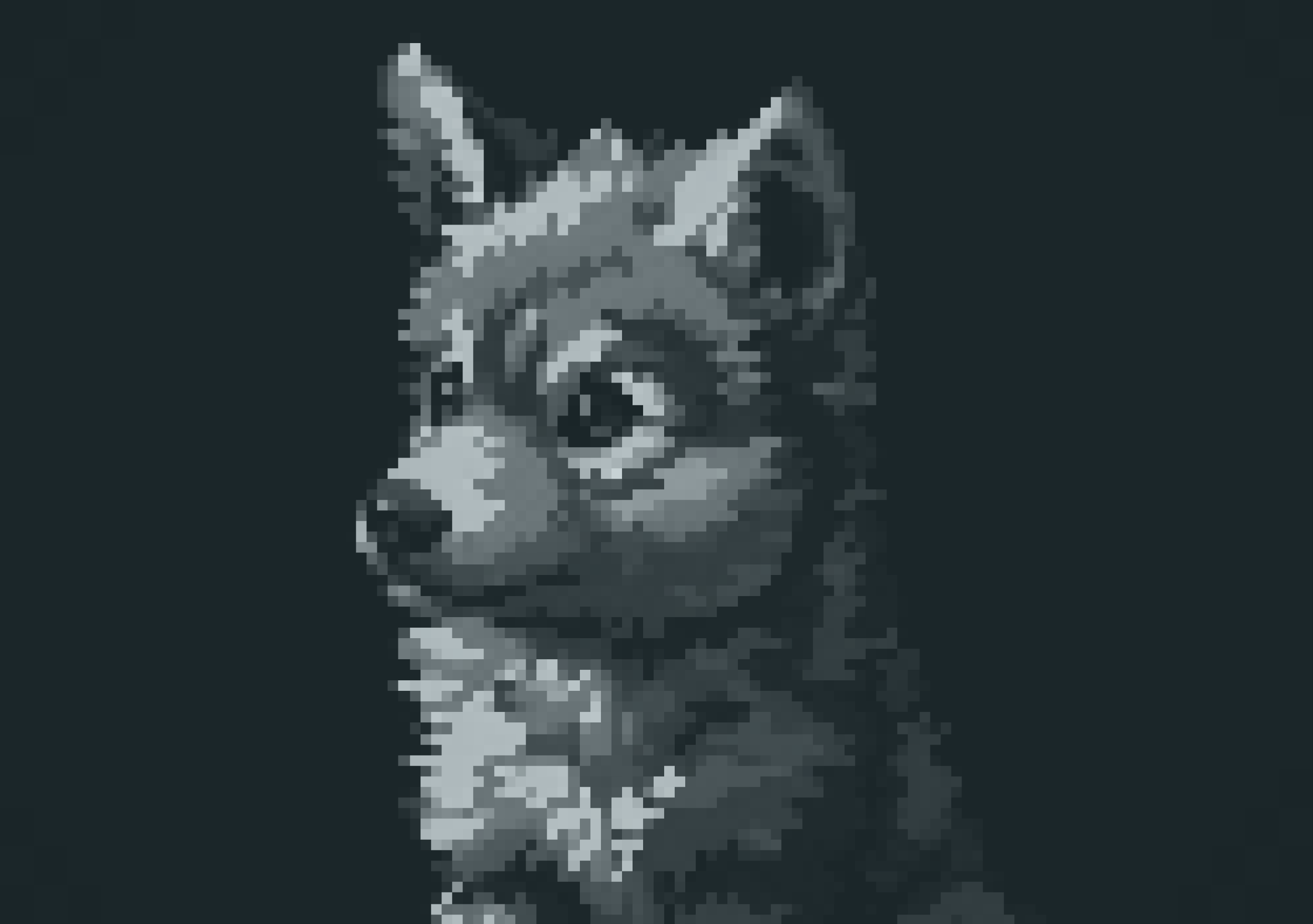 Direwolf