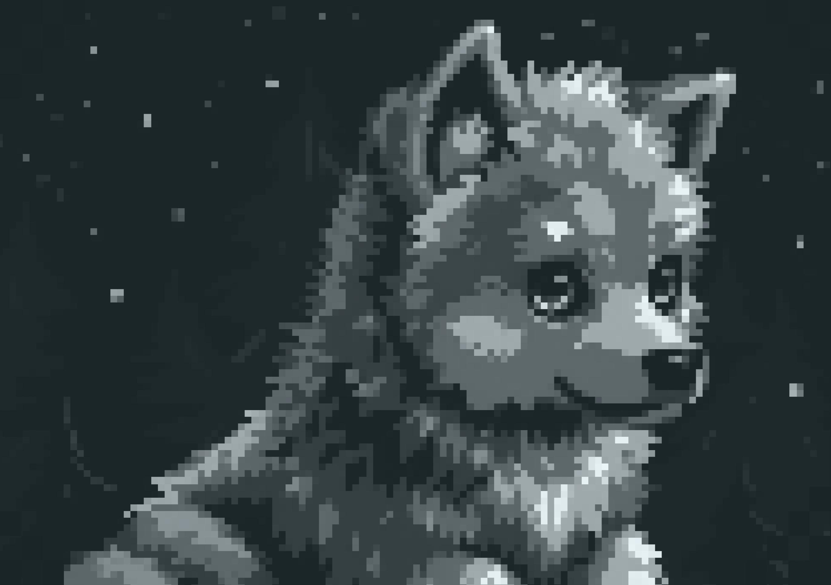 Celestialwolf
